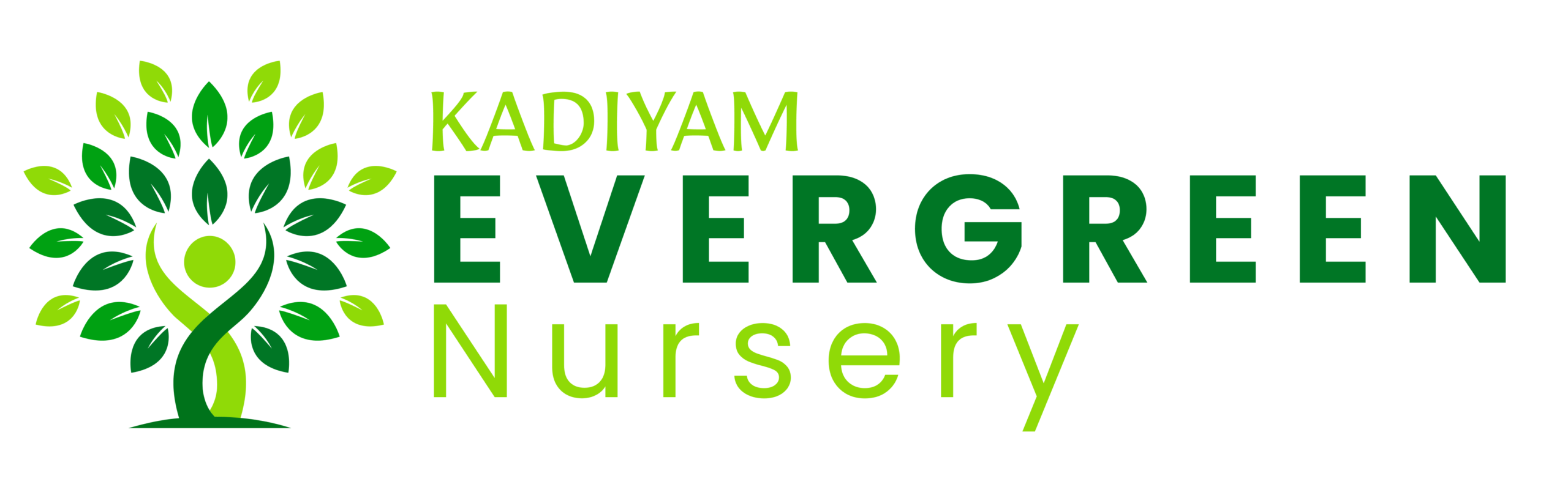 Kadiyam Evergreen Nursery - Wholesale Plant Supplier in Kadiyam